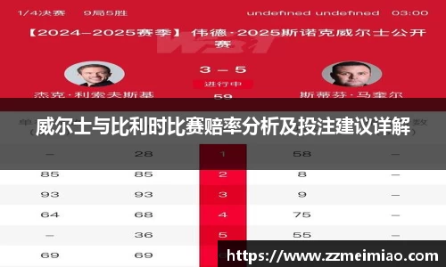 威尔士与比利时比赛赔率分析及投注建议详解